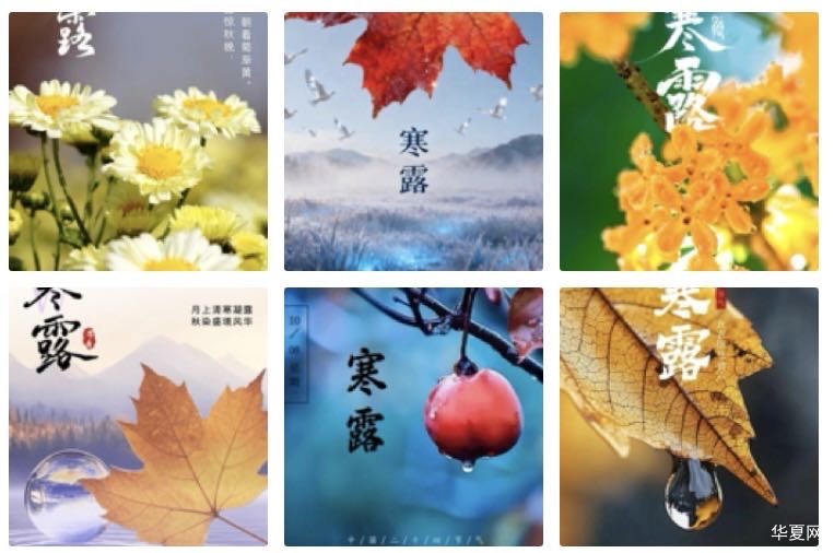 天净沙  寒露