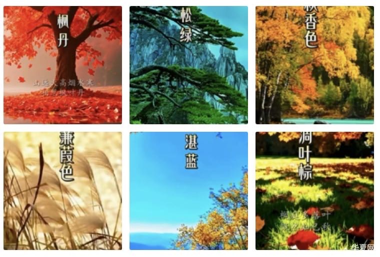 桂殿秋  秋色璀璨