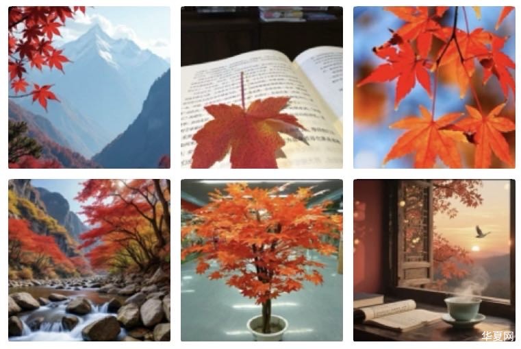 南乡子  红叶颂