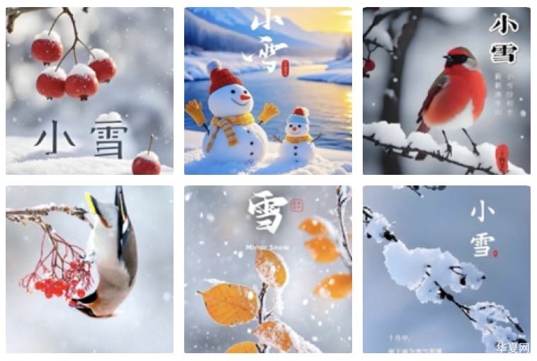 忆秦娥  已巳小雪