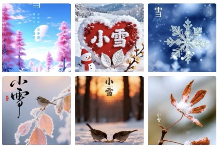 竹枝词  已巳小雪