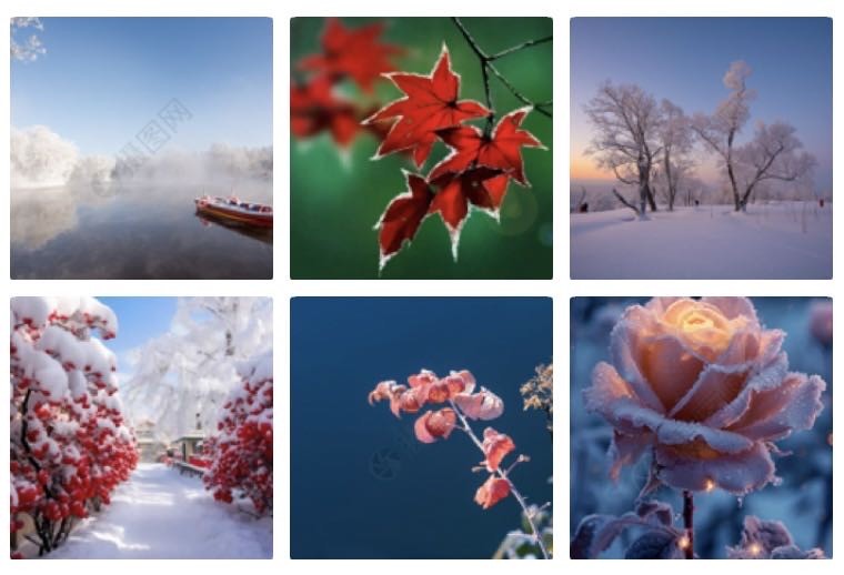 清平乐  风寒凝霜