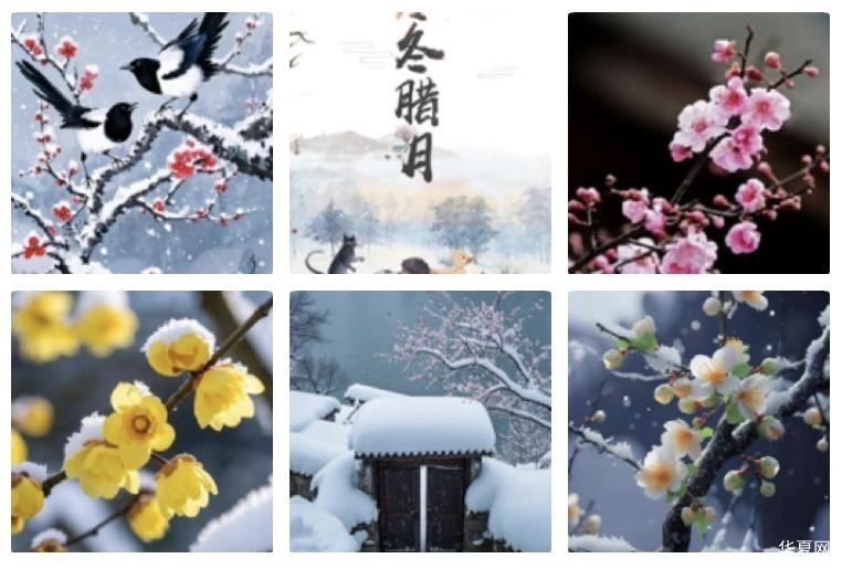 西江月  腊八风寒