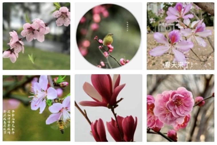 忆秦娥  春来早