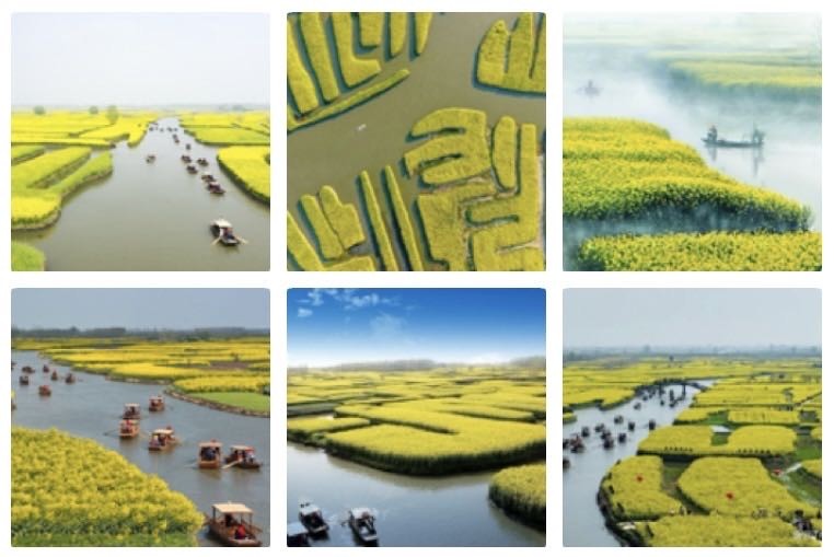 捣练子  游兴化