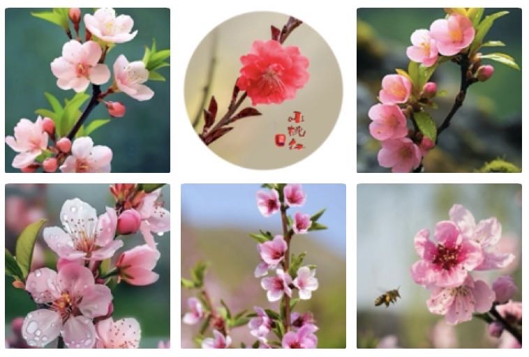 五律  灼灼桃夭