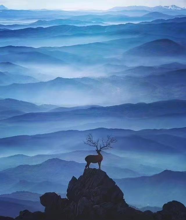 《雪与果》
