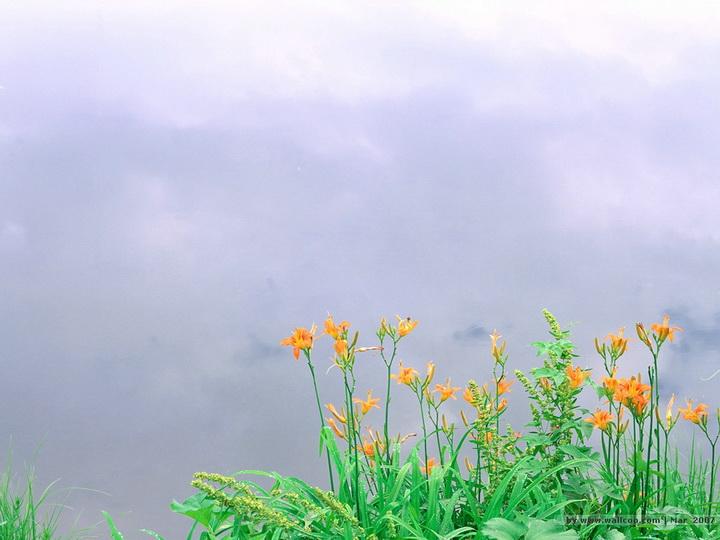 选举（小小说）