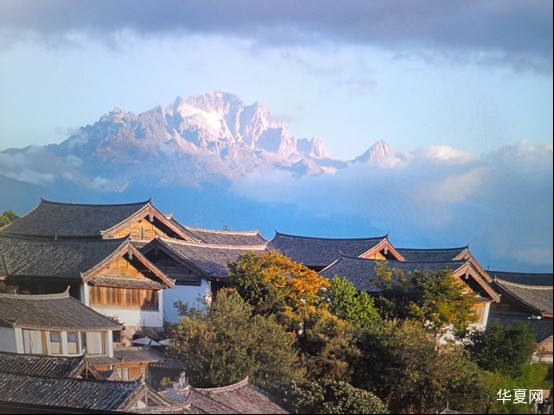 村委选举（小说）