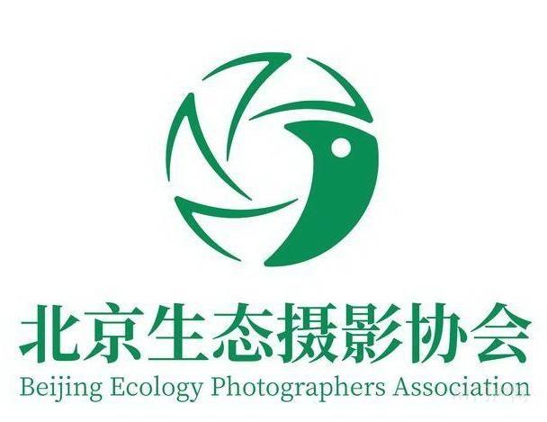 2025 全国生态摄影艺术展公园主题摄影网展征稿启事