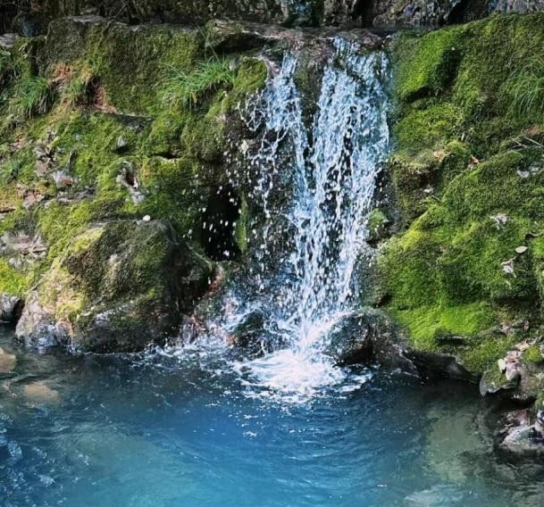 水之缘（短篇小说）