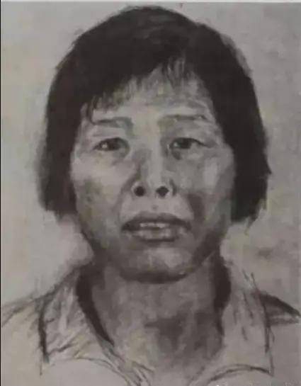 法网终擒“梅姨”——涉嫌拐卖儿童关键嫌犯谢某某落网，尘封二十年案件终获突破