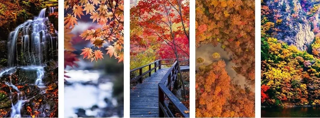 东北，有中国最早的秋天（2）