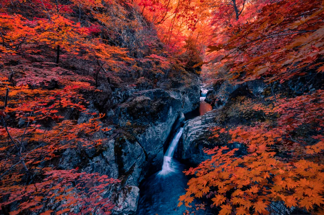 东北，有中国最早的秋天（3）