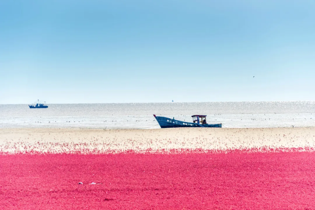 东北，有中国最早的秋天（1）