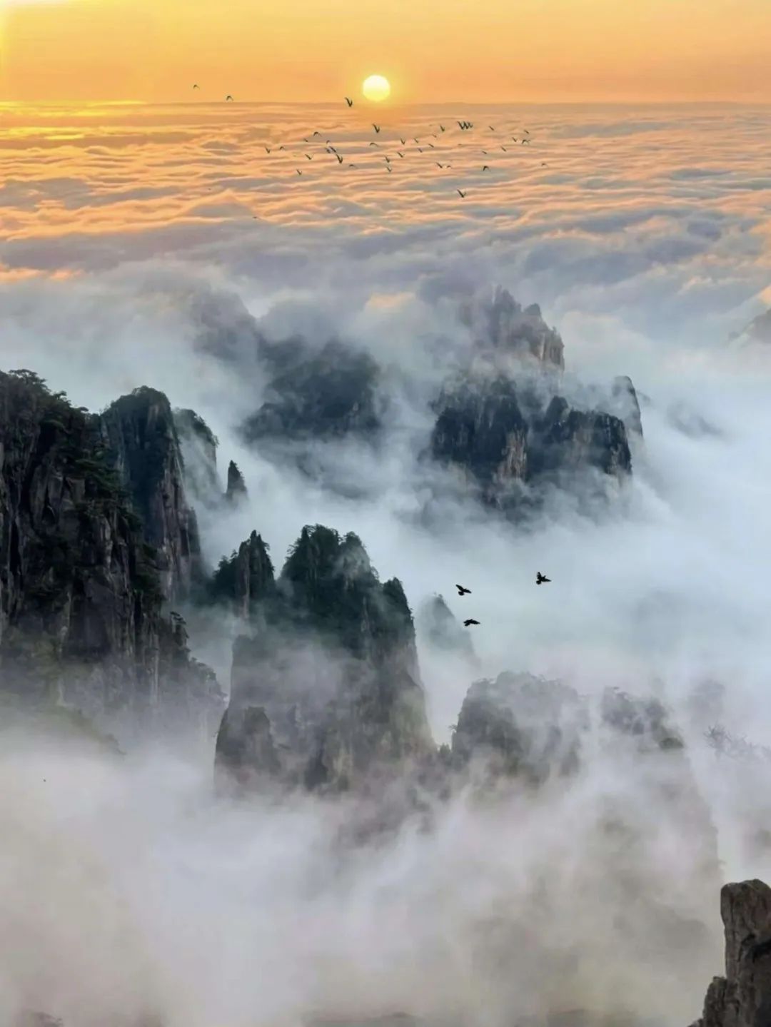 中国8大“AAAAAA”级景区权威排名首次公开（3）第6名·安徽·黄山