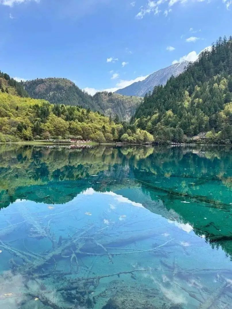 中国8大“AAAAAA”级景区权威排名首次公开（2）第7名·四川·九寨沟