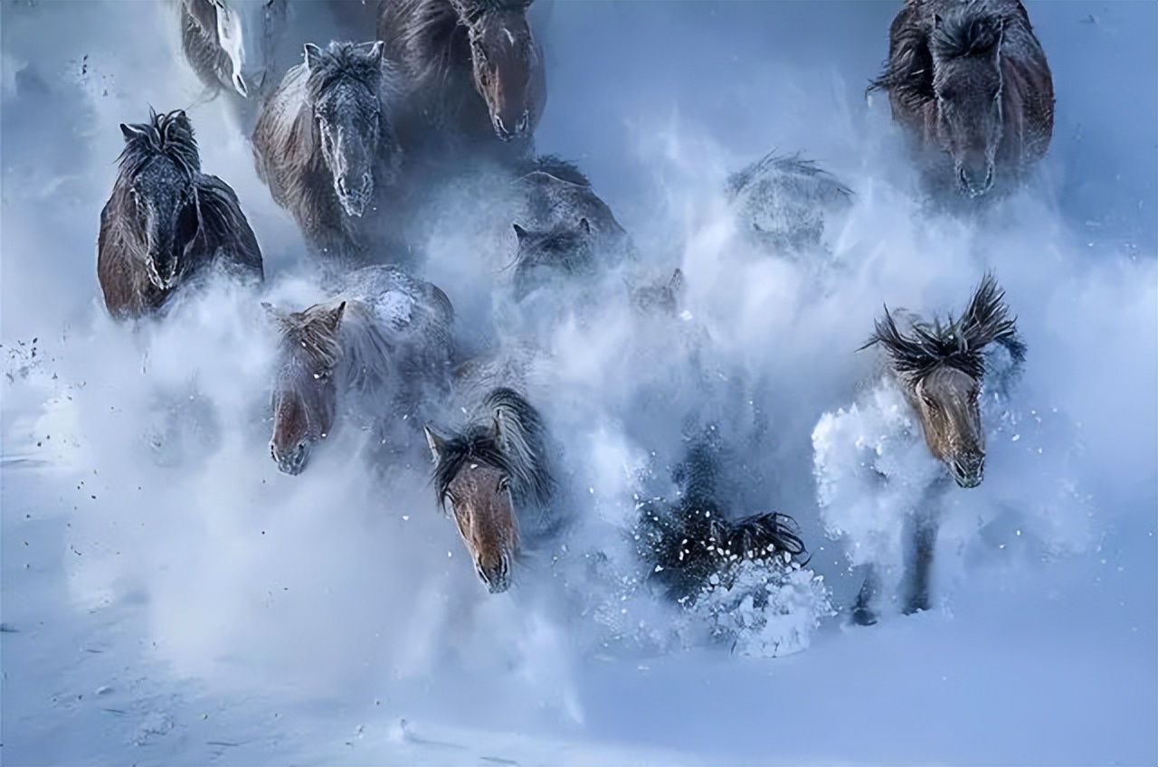 有一种诗和远方，叫乌兰布统的冬天（1）