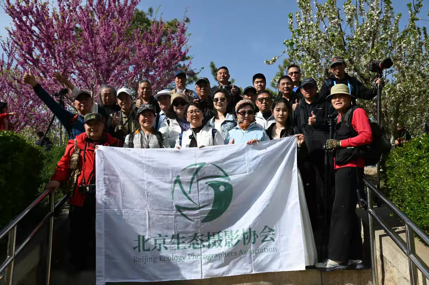 春韵定格·镜映芳华——北京生态摄影协会组织会员赴元大都海棠花溪开展拍摄活动
