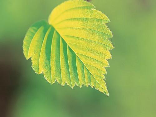 陈业冰作品文集