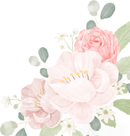 牡丹何时成为国花？